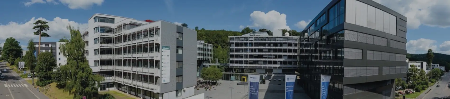 Online European Summer Course 2021 #EUChallengeAccepted: Tackle the Challenges for the European Union!